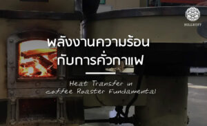 Read more about the article พลังงานความร้อน กับการคั่วกาแฟ  Heat Transfer in coffee Roaster Fundamental