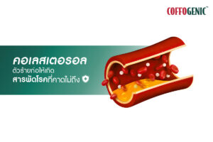 Read more about the article คอเลสเตอรอล สาเหตุของการเกิดโรคร้ายต่าง ๆ