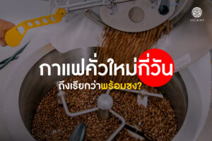Read more about the article กาแฟคั่วใหม่กี่วัน ถึงเรียกว่าพร้อมชง?