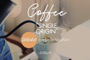 Read more about the article กาแฟ Single Origin มีดียังไง? ควรรู้อะไรก่อนเลือก วันนี้ แอดมินมีทริคดี ๆ มาแนะนำค่ะ