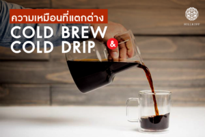 Read more about the article ความเหมือนที่แตกต่าง “Cold Brew & Cold Drip”