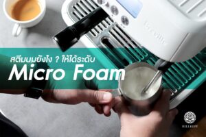 Read more about the article สตีมนมยังไง ให้ได้ระดับ Micro Foam? | How to steam milk to make Micro Foam?