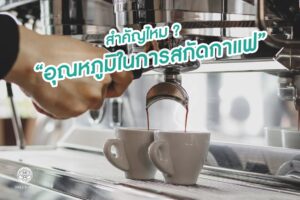 Read more about the article สำคัญไหม ? อุณหภูมิน้ำในการสกัดกาแฟ