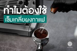 Read more about the article เข็มเกลี่ยผงกาแฟจำเป็นแค่ไหน?