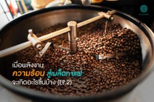 Read more about the article เมื่อพลังงานความร้อนสู่เมล็ดกาแฟ จะเกิดอะไรขึ้นบ้าง (EP.2)