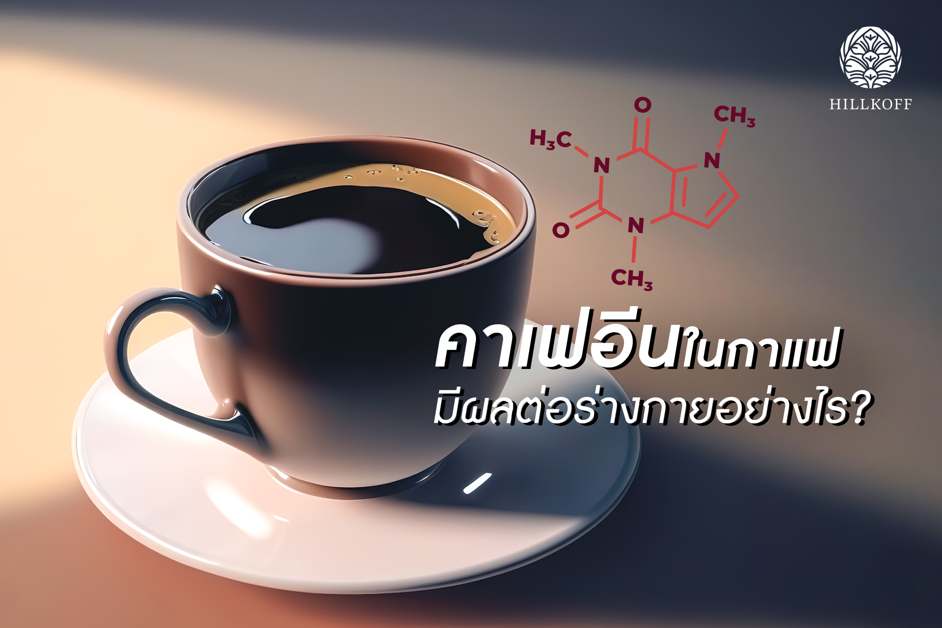 You are currently viewing คาเฟอีนในกาแฟ มีผลต่อร่างกายอย่างไร?