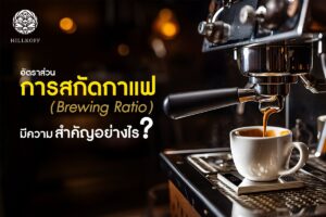 Read more about the article อัตราส่วนการสกัดกาแฟ (Brewing Ratio) มีความสำคัญอย่างไร??