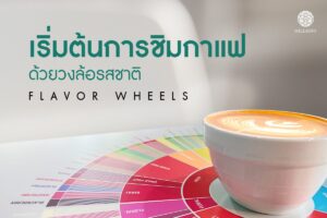 Read more about the article เริ่มต้นการชิมกาแฟด้วยวงล้อรสชาติ (Flavor Wheels)