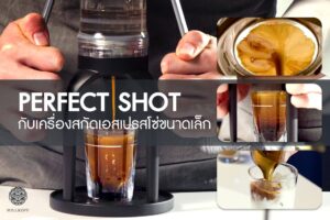 Read more about the article “Perfect shot” กับ เครื่องสกัดเอสเปรสโซ่ขนาดเล็ก