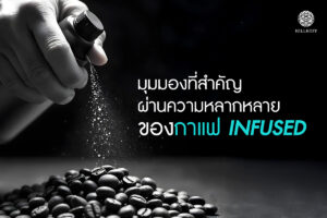 Read more about the article มุมมองที่สำคัญผ่านความหลากหลาย ของ กาแฟ Infused