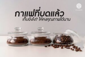 Read more about the article กาแฟที่บดแล้วเก็บยังไง ? ให้คงคุณภาพได้นาน