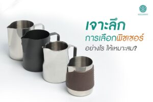 Read more about the article เจาะลึกการเลือกพิชเชอร์อย่างไรให้เหมาะสม ?