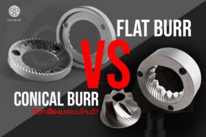 Read more about the article Flat burr Vs Conical burr