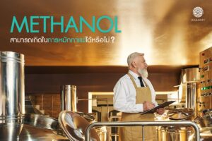 Read more about the article Methanol สามารถเกิดในการหมักกาแฟได้หรือไม่ ? และสะท้อนคุณภาพของการหมักกาแฟอย่างไร