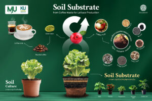 Read more about the article กาแฟกับเศรษฐกิจหมุนเวียน: เปลี่ยนของเสียให้เป็นทรัพยากรเพื่อโลกที่ยั่งยืน