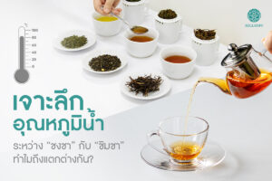 Read more about the article เจาะลึกอุณหภูมิน้ำระหว่าง “ชงชา” กับ “ชิมชา” ทำไมถึงแตกต่าง?