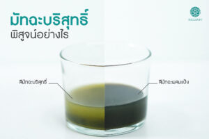 Read more about the article มัทฉะบริสุทธิ์พิสูจน์อย่างไร?