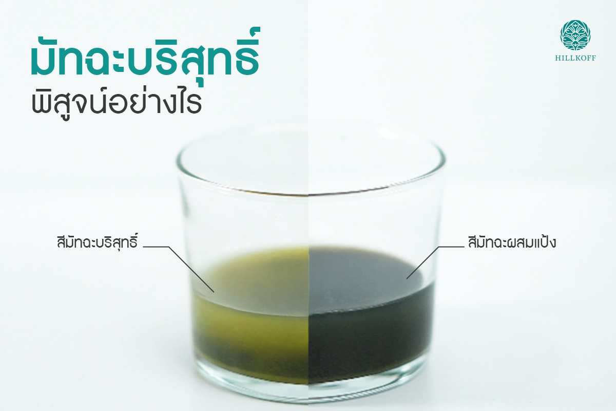 You are currently viewing มัทฉะบริสุทธิ์พิสูจน์อย่างไร?