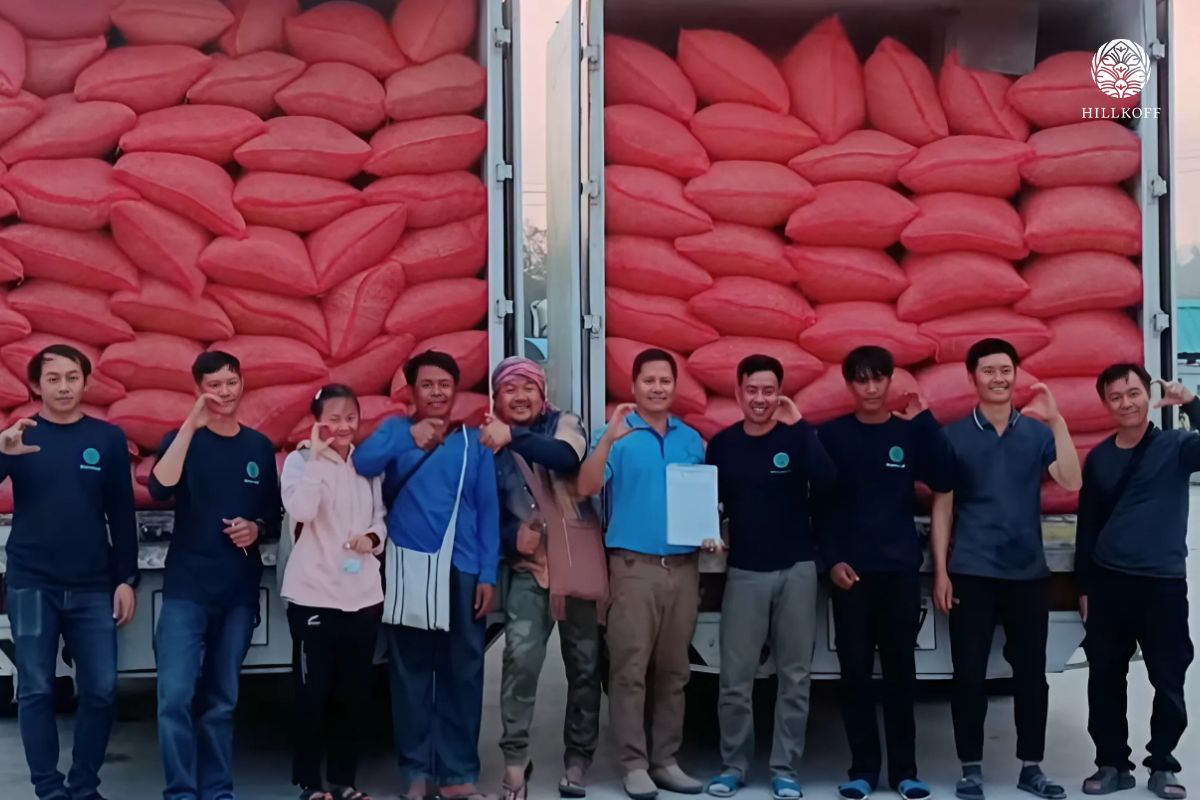 You are currently viewing เกษตรกรจากพื้นที่สูงอำเภออมก๋อย จังหวัดเชียงใหม่ ได้รวมตัวกันภายใต้การสนับสนุนของสถาบันวิจัยและพัฒนาพื้นที่สูง เพื่อดำเนินการจัดส่งผลผลิตกาแฟกะลาอินทรีย์เข้าสู่กระบวนการแปรรูป ฮิลล์คอฟฟ์
