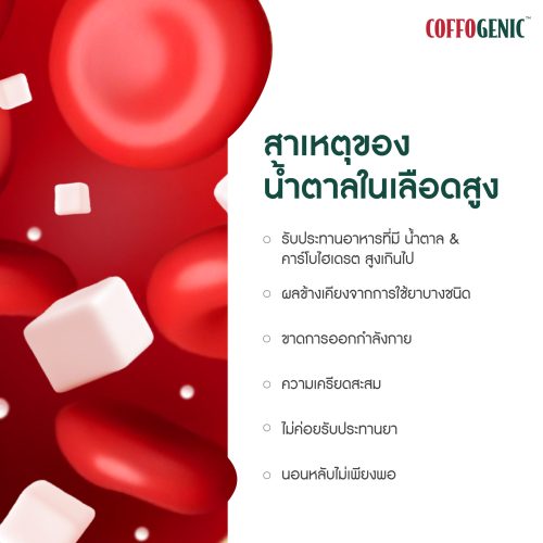น้ำตาลในเลือดสูง ภัยเงียบที่เร่งความเสื่อมของร่างกาย-02 น้ำตาลในเลือดสูง ภัยเงียบที่เร่งความเสื่อมของร่างกาย-02