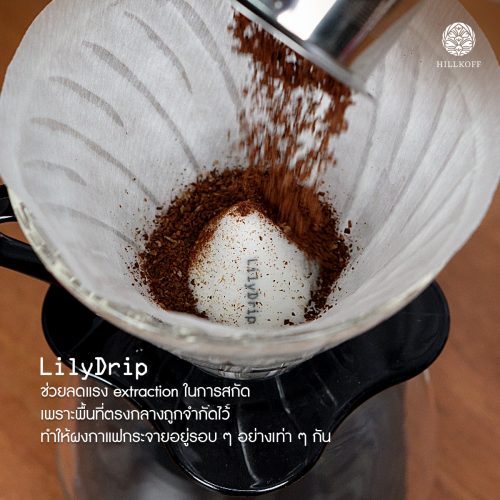 Lily Drip-1 Lily Drip-1