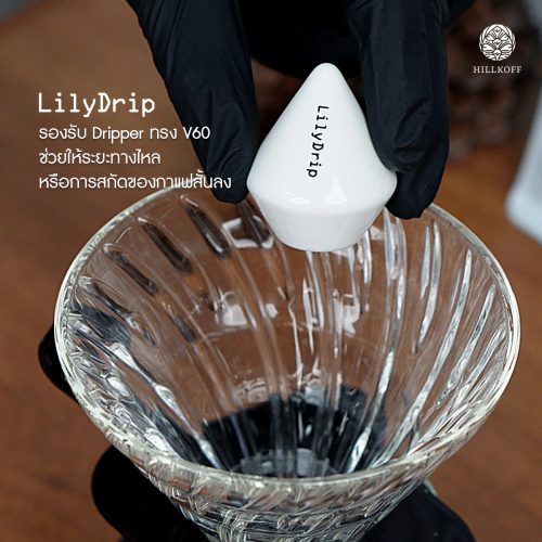 Lily Drip Lily Drip